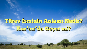 Türev İsminin Anlamı Nedir? Kur’an’da Geçer mi?